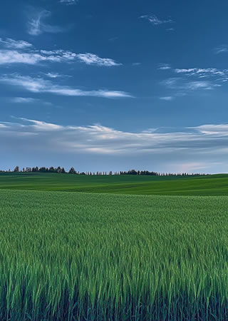 30余年行業經驗